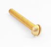 Brass Roundhead Screws (Slotted)