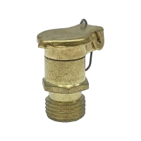 M10 Brass Oiler / Oil Pot with Swivel and Flip Top